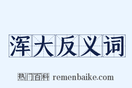 浑大反义词是什么意思的图片